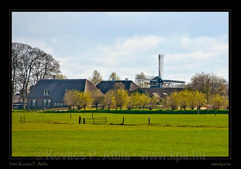 Keukenhof Hollandia 003.jpg